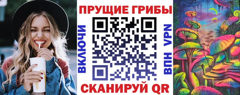 Купить  Пыть-Ях  Галлюциногенные грибы Psilocybine cubensis 